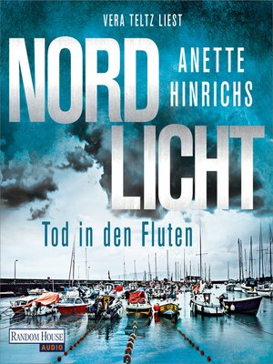 cover image of Nordlicht--Tod in den Fluten